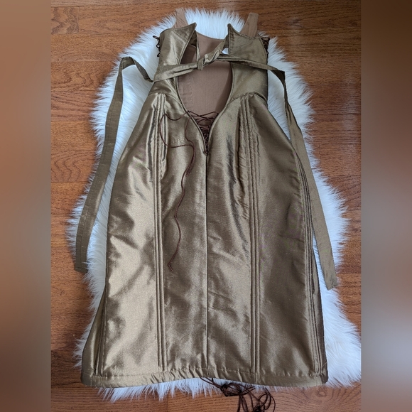 ZOE GUSTAVIA ANNA WHALEN stomacher gown corset dress small - Picture 8 of 15